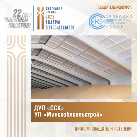 Диплом победителя II степени 2025 года